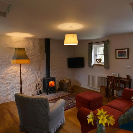 Dandelion Cottage, Amroth Eksteriør billede