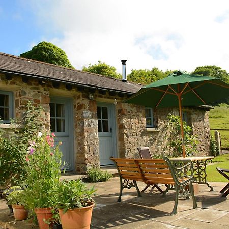 Dandelion Cottage, Amroth Eksteriør billede
