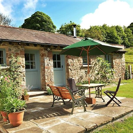 Dandelion Cottage, Amroth Eksteriør billede