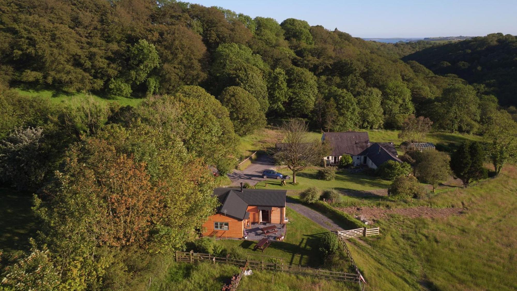 Dandelion Cottage, Amroth Eksteriør billede